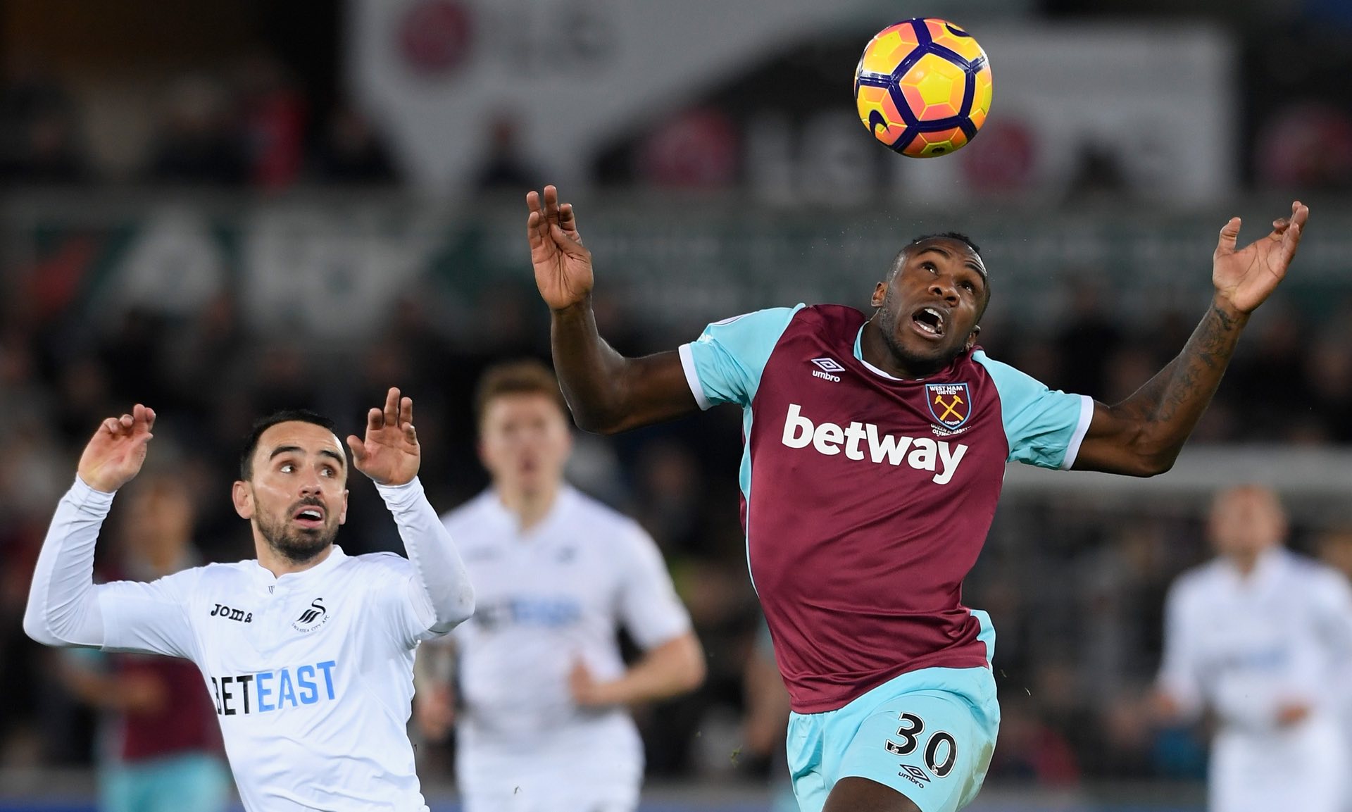 而是对他所 而是对他所