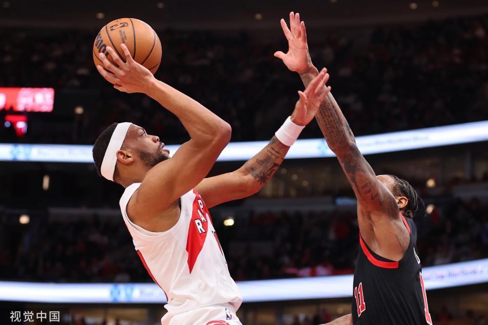 供了完美的 供了完美的