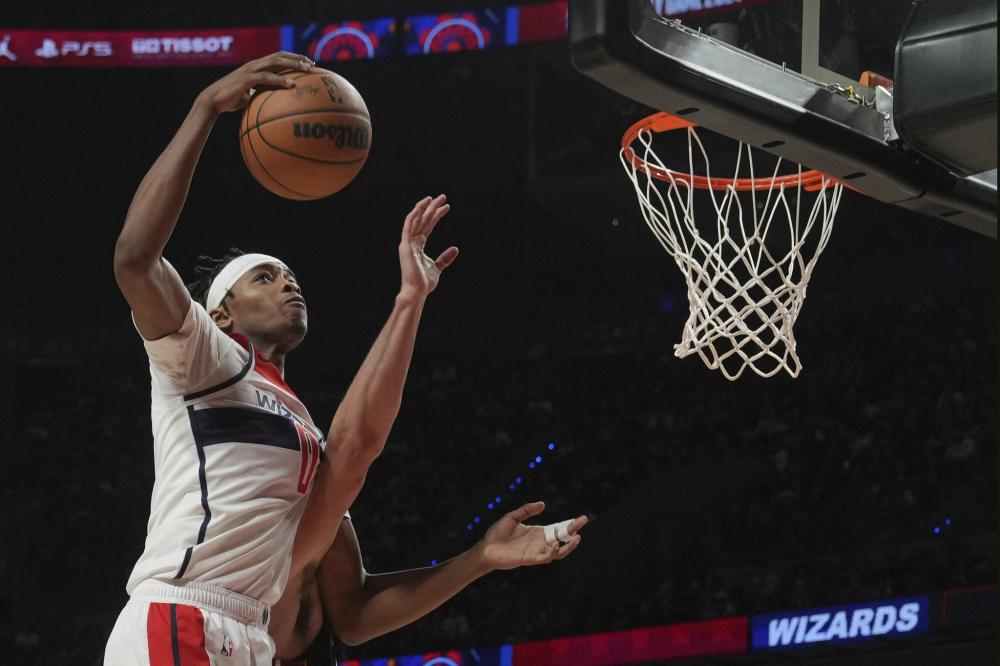 辛纳的职业 辛纳的职业